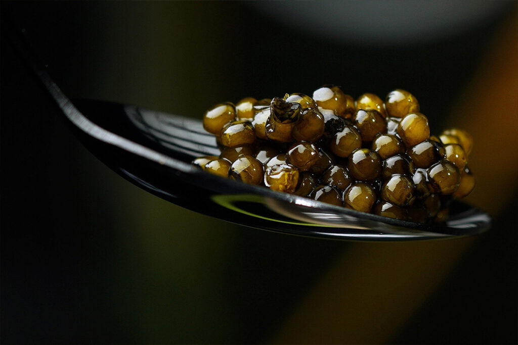 caviar