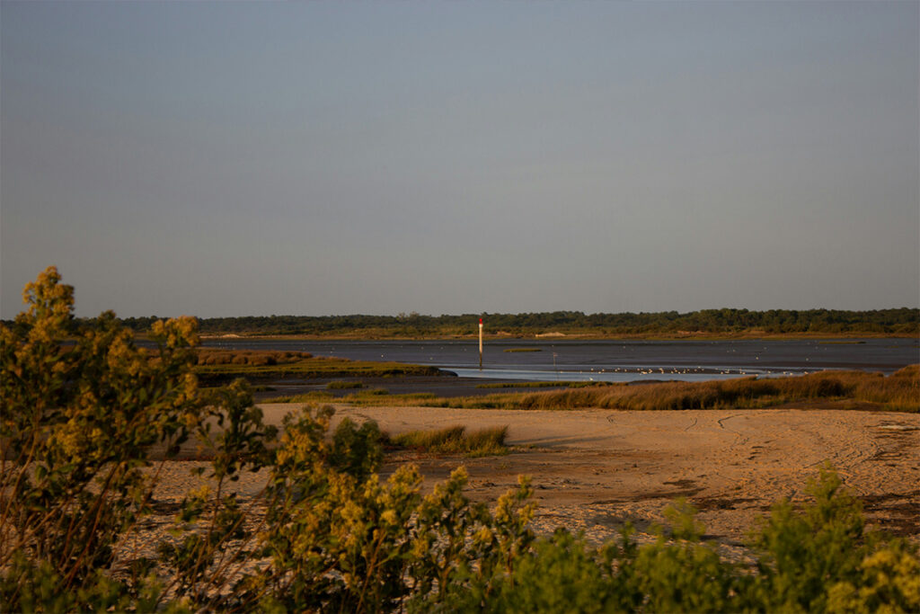 teich